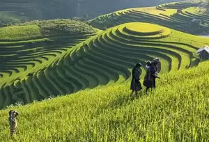 Filming in Vietnam | Experience Sapa: A Filmmaking Destination Like No Other